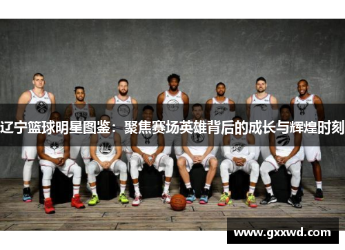 辽宁篮球明星图鉴：聚焦赛场英雄背后的成长与辉煌时刻