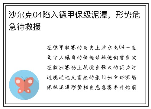 沙尔克04陷入德甲保级泥潭，形势危急待救援